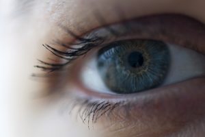 42BB5395-1E67-46BB-9532-CA43DD65F4EF