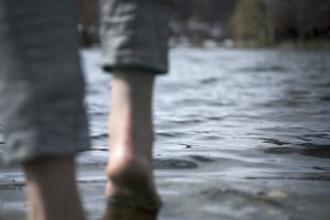 ED169A1C-CB8C-4447-91AF-4FC1A834321E